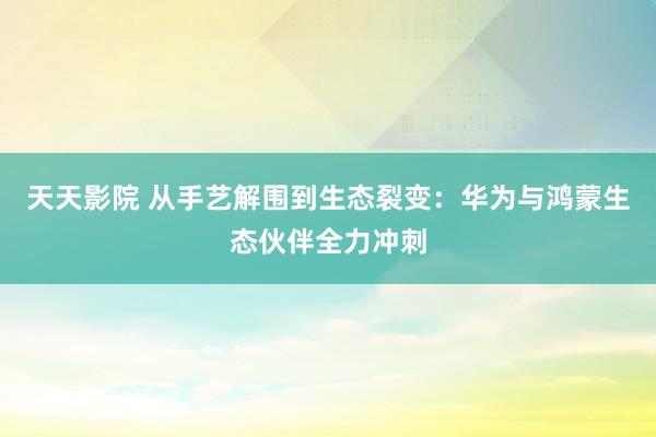 天天影院 从手艺解围到生态裂变：华为与鸿蒙生态伙伴全力冲刺