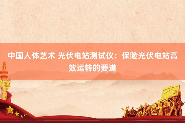 中国人体艺术 光伏电站测试仪：保险光伏电站高效运转的要道