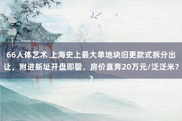 66人体艺术 上海史上最大单地块旧更款式拆分出让，附进新址开盘即罄，房价直奔20万元/泛泛米？